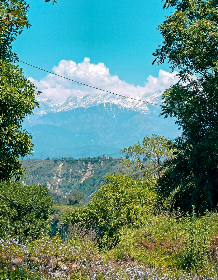 kangra himachal pradesh