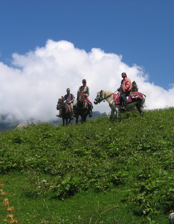 horse riding on green plains