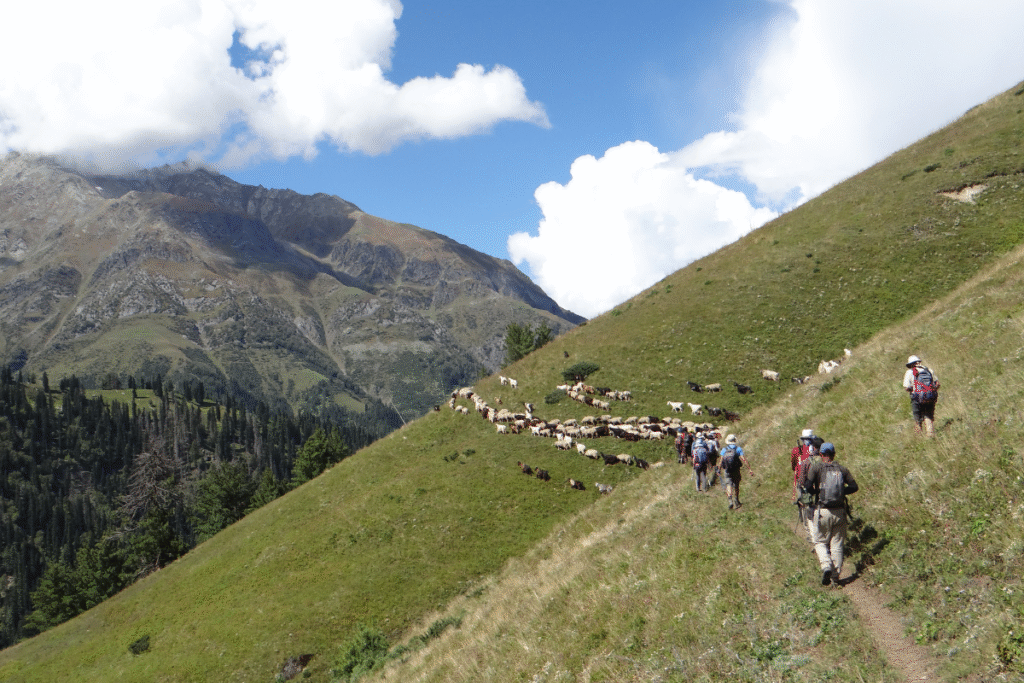 Bara Bhangal itinerary